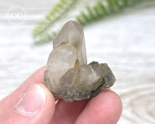 Tiger Blue Tara Quartz #11