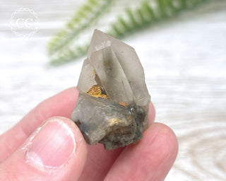 Tiger Blue Tara Quartz #11