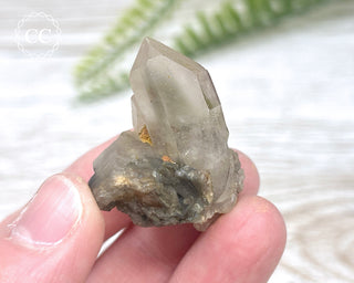 Tiger Blue Tara Quartz #11