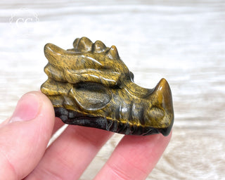 Tigers Eye Dragon Head #7