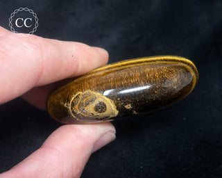 Tigers Eye Chunky Palm Stone #2