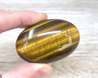 Tigers Eye Chunky Palm Stone #2