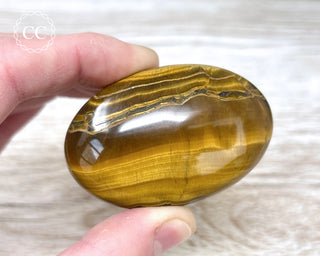 Tigers Eye Chunky Palm Stone #1