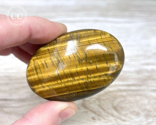 Tigers Eye Chunky Palm Stone #2