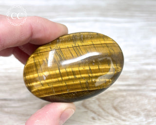 Tigers Eye Chunky Palm Stone #2