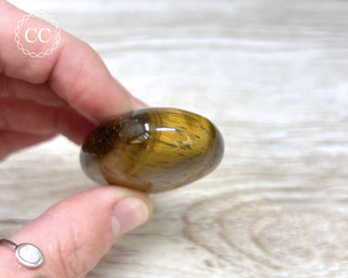 Tigers Eye Chunky Palm Stone #2