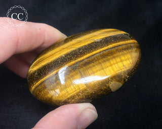 Tigers Eye Chunky Palm Stone #3