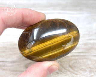 Tigers Eye Chunky Palm Stone #3