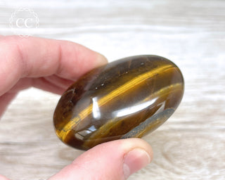 Tigers Eye Chunky Palm Stone #3
