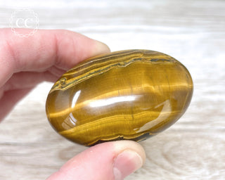 Tigers Eye Chunky Palm Stone #1
