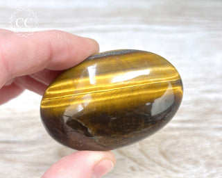 Tigers Eye Chunky Palm Stone #3
