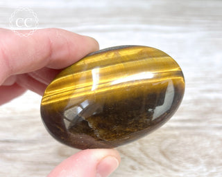 Tigers Eye Chunky Palm Stone #3