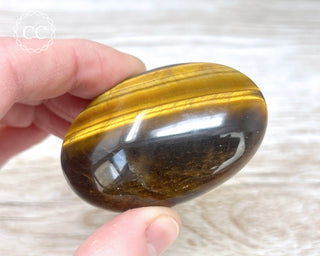Tigers Eye Chunky Palm Stone #3