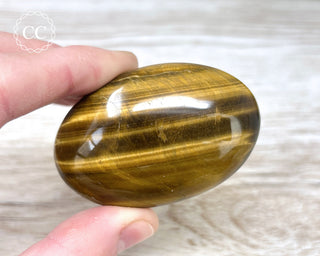 Tigers Eye Chunky Palm Stone #4