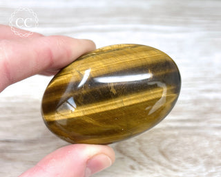 Tigers Eye Chunky Palm Stone #4