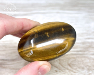 Tigers Eye Chunky Palm Stone #4