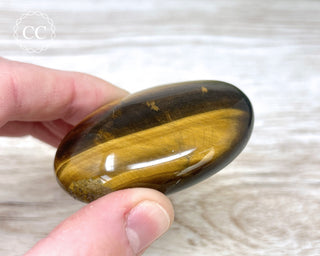 Tigers Eye Chunky Palm Stone #4