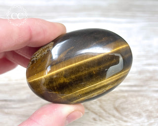 Tigers Eye Chunky Palm Stone #4