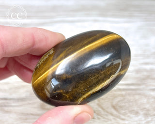 Tigers Eye Chunky Palm Stone #4