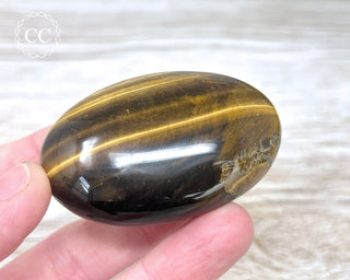 Tigers Eye Chunky Palm Stone #4