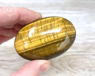 Tigers Eye Chunky Palm Stone #5