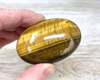 Tigers Eye Chunky Palm Stone #5