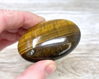 Tigers Eye Chunky Palm Stone #5