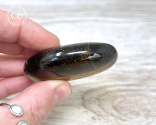 Tigers Eye Chunky Palm Stone #5