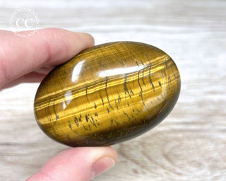 Tigers Eye Chunky Palm Stone #5