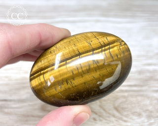 Tigers Eye Chunky Palm Stone #5