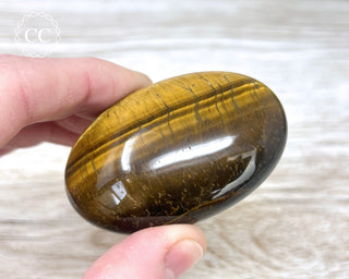 Tigers Eye Chunky Palm Stone #5