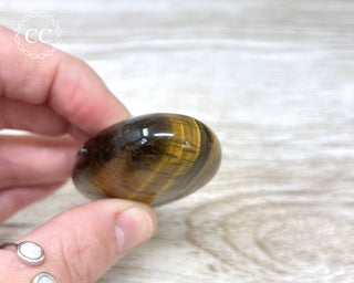 Tigers Eye Chunky Palm Stone #5