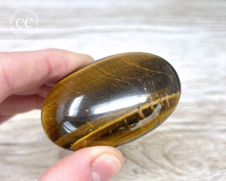 Tigers Eye Chunky Palm Stone #6