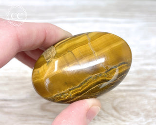 Tigers Eye Chunky Palm Stone #1