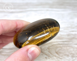 Tigers Eye Chunky Palm Stone #6
