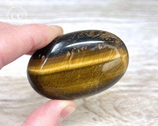 Tigers Eye Chunky Palm Stone #6