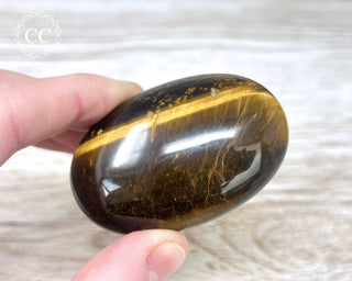 Tigers Eye Chunky Palm Stone #6