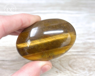 Tigers Eye Chunky Palm Stone #7