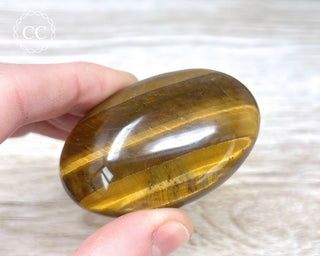 Tigers Eye Chunky Palm Stone #7
