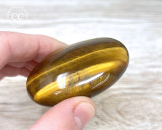 Tigers Eye Chunky Palm Stone #7