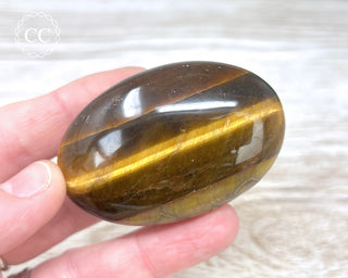 Tigers Eye Chunky Palm Stone #7