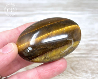 Tigers Eye Chunky Palm Stone #7