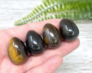 Tiger's Eye Mini Egg