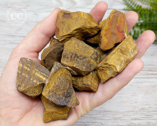 Tigers Eye Raw Crystals in hand