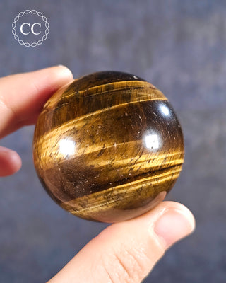 Tigers Eye Sphere #1
