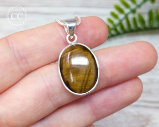 Tigers Eye Silver Necklace #1