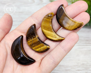 Tigers Eye Small Moons in hand