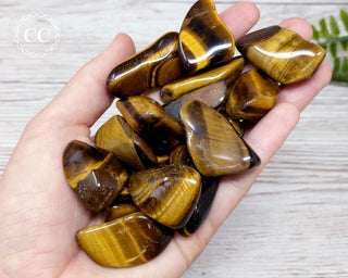 Tigers Eye Tumbled Crystals in hand