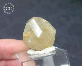 Topaz Crystal #1