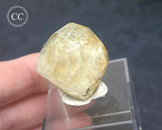 Topaz Crystal #1